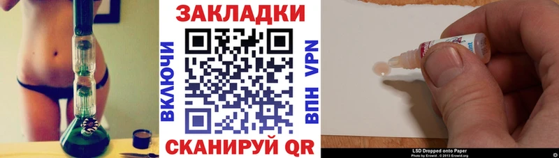 Купить закладку Далматово Псилоцибиновые грибы Гашиш Канабис Cocaine А ПВП