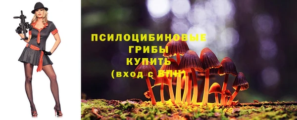 мдпв Михайловка