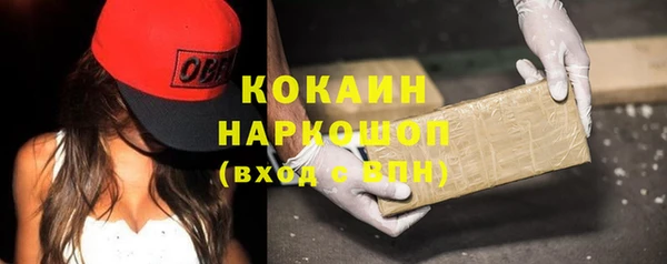 шишки Михайлов
