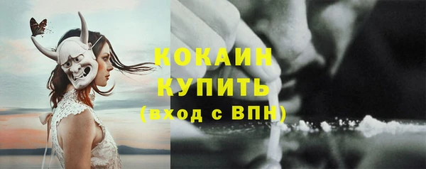 шишки Михайлов
