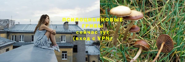 шишки Михайлов