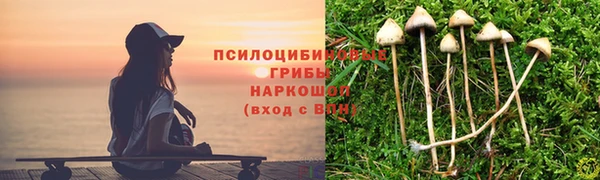 шишки Михайлов